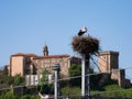 Stork and its young on top of a huge nest on an electricity pole Royalty Free Stock Photo