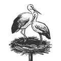 Stork in nest animal engraving vector illustration Royalty Free Stock Photo