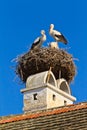 Stork nest in a Austrian village Rust Royalty Free Stock Photo