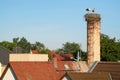 Stork nest in Biederitz