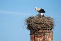 Stork nest in Biederitz