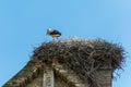 Stork Nest on Church Rooftop Royalty Free Stock Photo