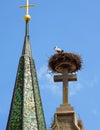 Stork in nest on church rooftop, white bird sits on big stone cross of roof on sky background. Vertical view of wild stork living