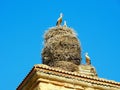 stork in the nest in a church Royalty Free Stock Photo