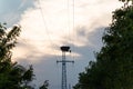 Stork nest on electrisity pole or hight voltage tower. Silhouette shot by dawn on sunset sky background. Spring nestlings Royalty Free Stock Photo