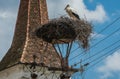 Stork nest in Romania Royalty Free Stock Photo