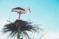 Stork in the nest, garden sculpture against the sky Royalty Free Stock Photo