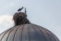 Stork nest on Haci Hacer Cami mosque in Igdir, Turk