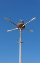 Stork nest in traffic light in Faro, Portugal