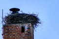 Stork nest on an unused chimney. Ecological use Royalty Free Stock Photo