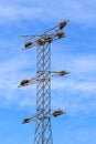Stork nests on electricity poles at Alcolea de Cinca, Spain