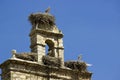 Stork nests in the old bell Torrelaguna Royalty Free Stock Photo