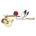 Stork With New Born Baby Color Illustration