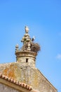 A Stork rests in its nest on top of a stone tower
