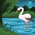 Stork and river vector illustration