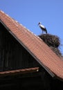 Stork On the Roof Royalty Free Stock Photo