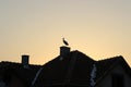 Stork roof Royalty Free Stock Photo