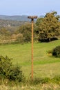 Stork\'s nest on a pole in a field with trees in the background in the Sauerland