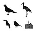 A stork, a seagull and various species. Birds set collection icons in black style vector symbol stock illustration web.