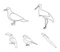 A stork, a seagull and various species. Birds set collection icons in outline style vector symbol stock illustration web