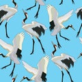 1399 stork, Seamless pattern with storks, ornament for fabric and wallpaper, scrapbooking paper, background for different designs