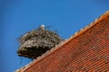 A stork sits in its eyrie on a rural house roof in spring and watches over the offspring