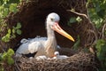stork sits in the nest, ai generator