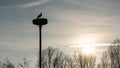 Stork sitting in its nest at sunset, hesse, germany Royalty Free Stock Photo