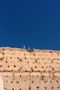 Stork sitting on medievil historic wall Royalty Free Stock Photo