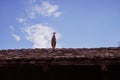 A stork sitting on an old traditional roof at the eco-museum of Alsace in Ungersheim