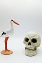 a stork and a skull: birth to death concept