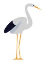 Stork standing bird cartoon symbol