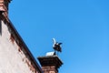 A stork standing on the brick chimney of a house Royalty Free Stock Photo