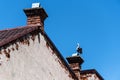 A stork standing on the brick chimney of a house Royalty Free Stock Photo