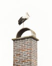 Stork standing on a chimney Royalty Free Stock Photo