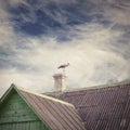 Stork standing on a chimney