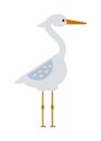 Stork standing and flying sarus crane grus cartoon cute animal lovely bird vector. Royalty Free Stock Photo