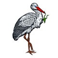 Stork standing on one leg and holds a frog in beak