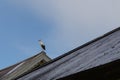 Stork stands on a wooden roof against the background of the sky Royalty Free Stock Photo