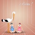 Stork with twins, male and female Royalty Free Stock Photo