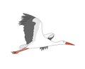 Stork Royalty Free Stock Photo