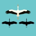 Stork vector illustration flat style black silhouette