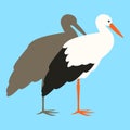 Stork ,vector illustration, profile view