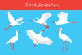 Stork vector illustration. Set of white storks isolated on blue background. Royalty Free Stock Photo