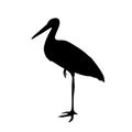 Stork vector illustration style Flat profile Royalty Free Stock Photo