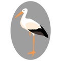 Stork vector illustration style Flat profile Royalty Free Stock Photo