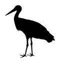 Stork vector silhouette illustration isolated on white background.