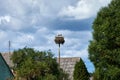 Storks are back in their nest in the spring