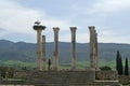 Storks couple on ancient roman