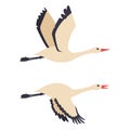 Storks, crane in flying vector cartoon flat icon set Royalty Free Stock Photo